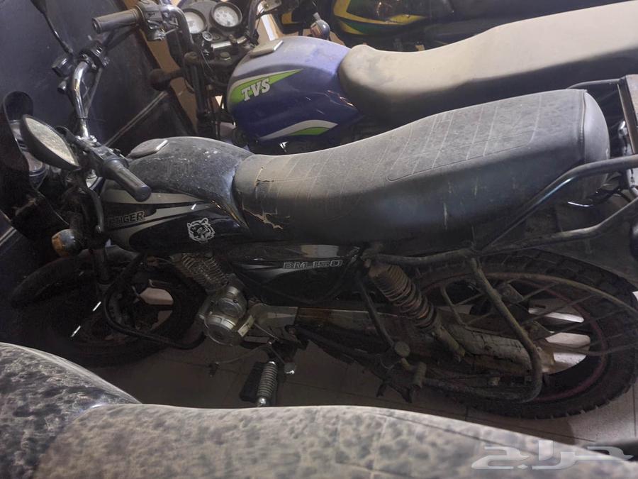 8 دبابات تايغر مستخدمة الممشى 5499 الي 841464535085697922113