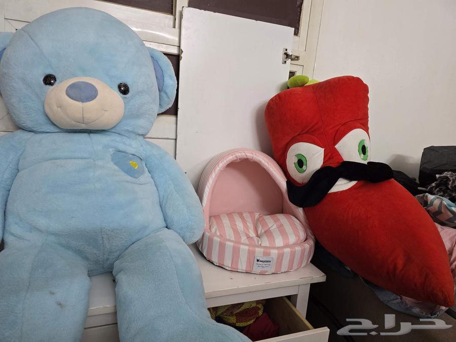 العاب محشوه كبيره ب50 ريال64387201749251111