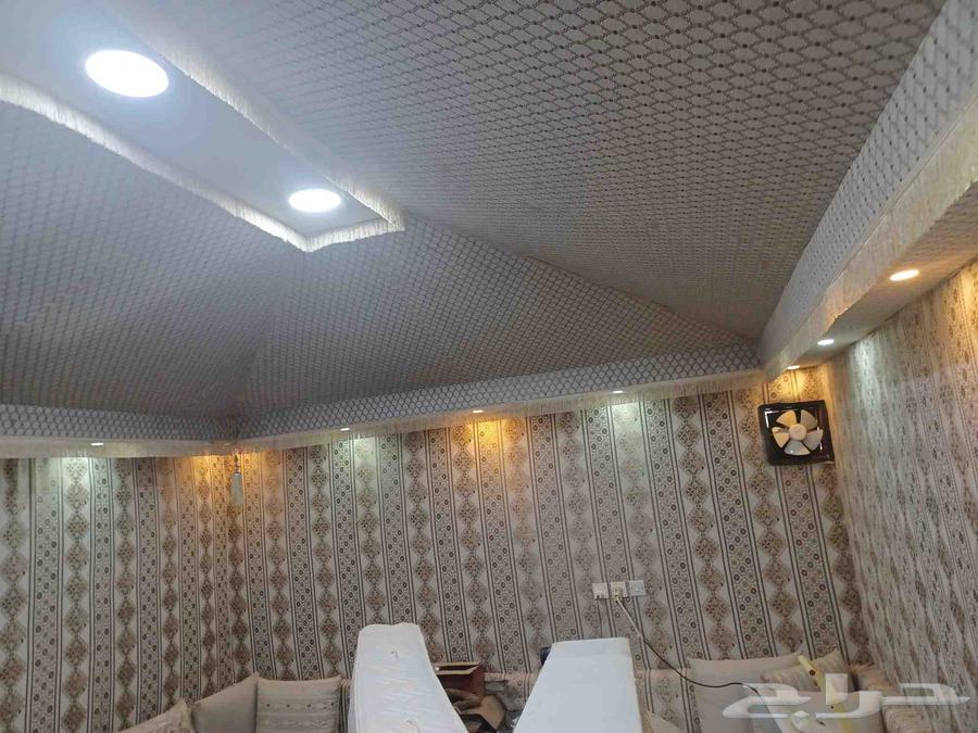 للبيع خيمة 4 664379732513665112