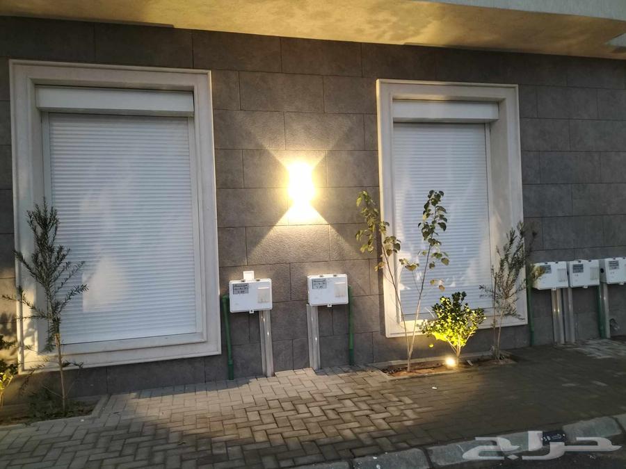 Royal Shutter64379341289475110