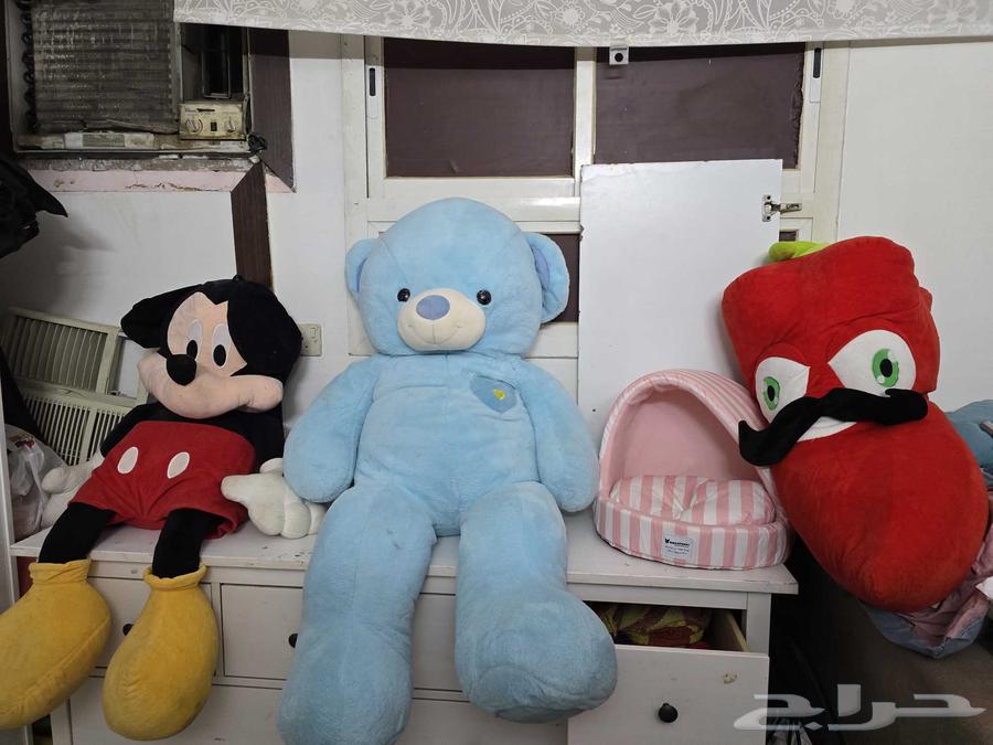 العاب محشوه كبيره ب50 ريال64387201749251112