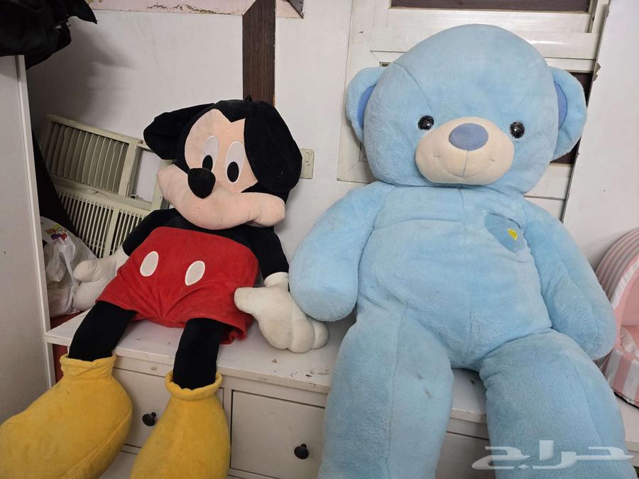 العاب محشوه كبيره ب50 ريال64387201749251110