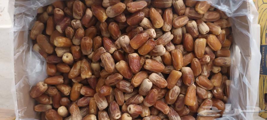 Large Sukkari dates64381425167106113