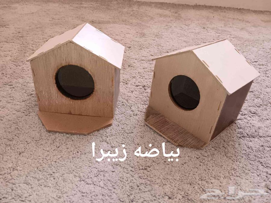 Zebra Bedding, Budgie Bedding, Rose and Crowan64386501313282110