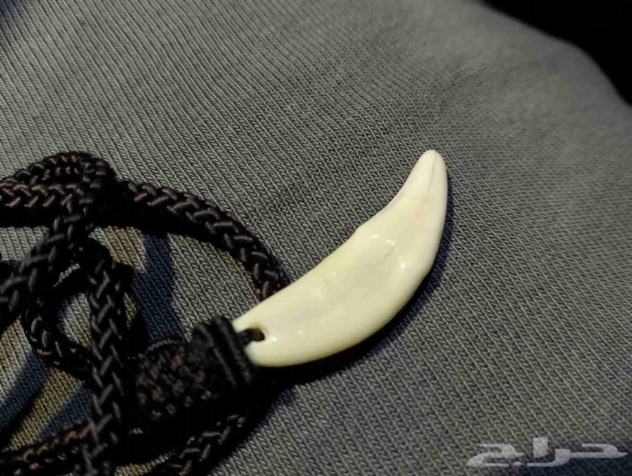 قلاده عقيق وناب واجحار كريمه64391202164611111