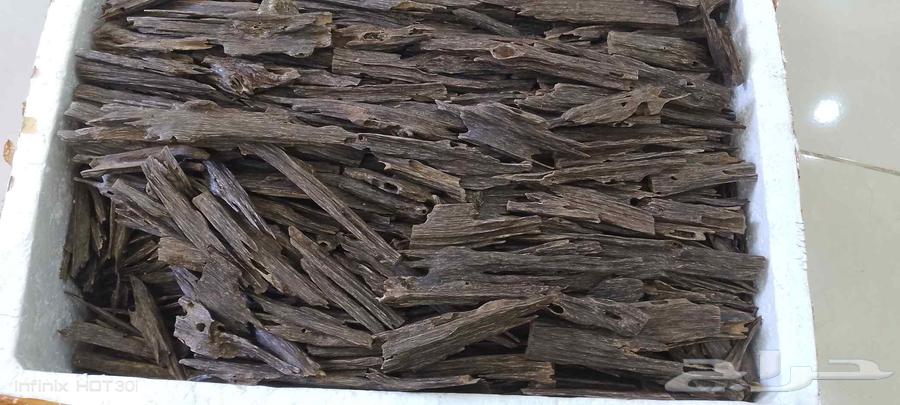 عود هندي متوفر الكيلو 3الف64385439776131113