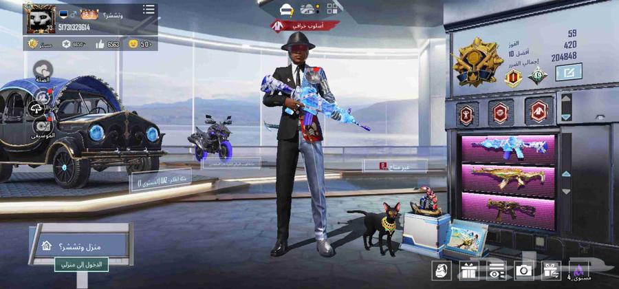 PUBG Global Account Level 73 on Sum64391990188545110