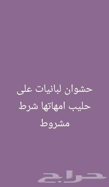 حشوان البيع عمره 5شهور64389433199233113