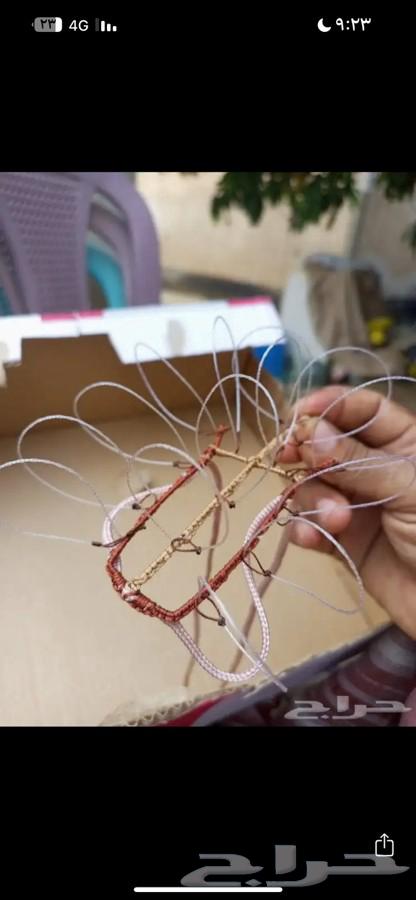 Hawk Trapping Net64391388627331114