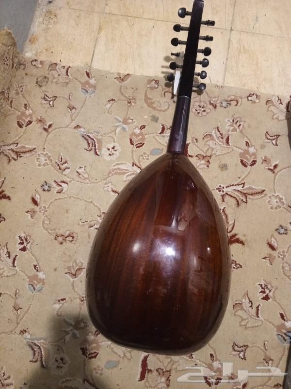 عود فنان مستخدم نضيف64390375074305110