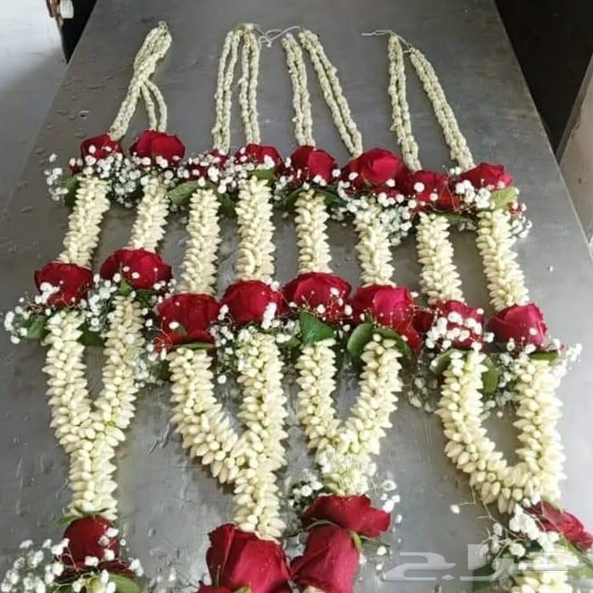 متوفر عقو-الفل بسعر الجمله محل-فل05399697264381384257665111