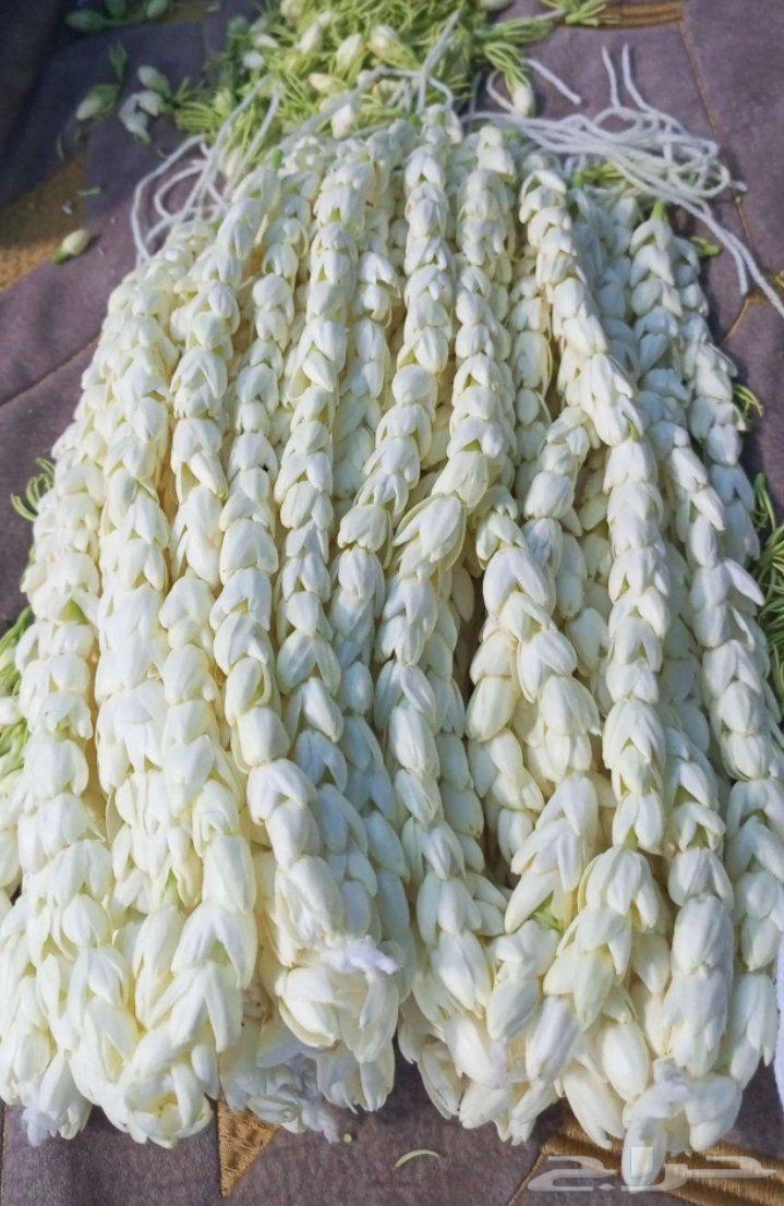 متوفر عقود_فل للمناسبات مسابح_فل بسعر الجمله64381287371265114