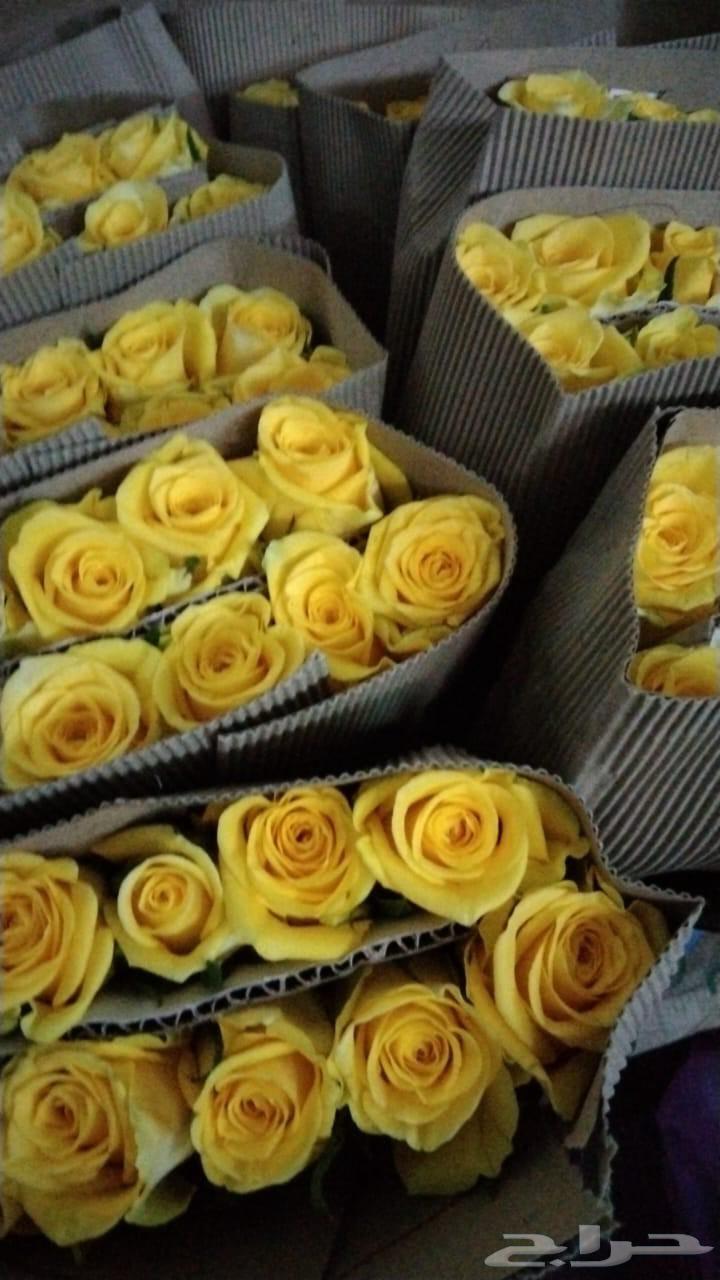 فل ورد64383428336643112