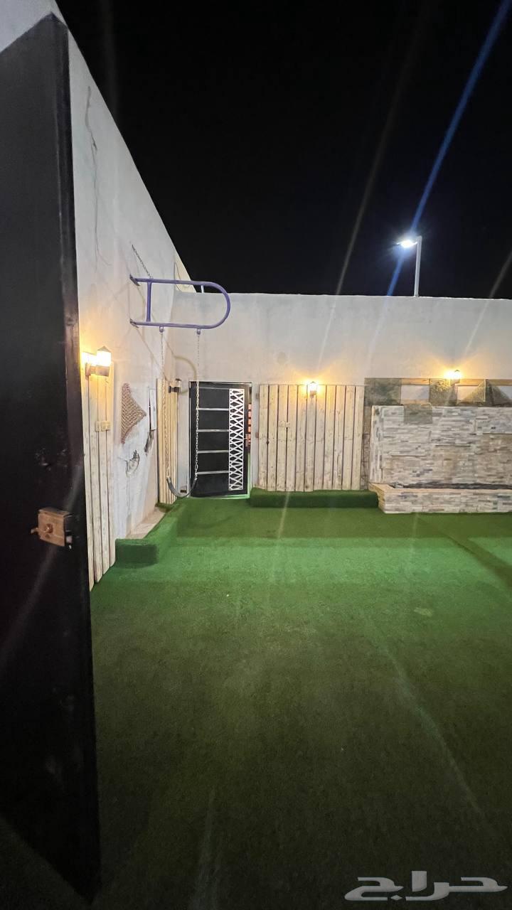 شاليهات جنوب الرياض بأسعار مخفضه 300 ريال فقط64378178854531114