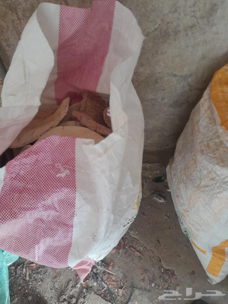 للبيع خبز للغنم64383802044801111