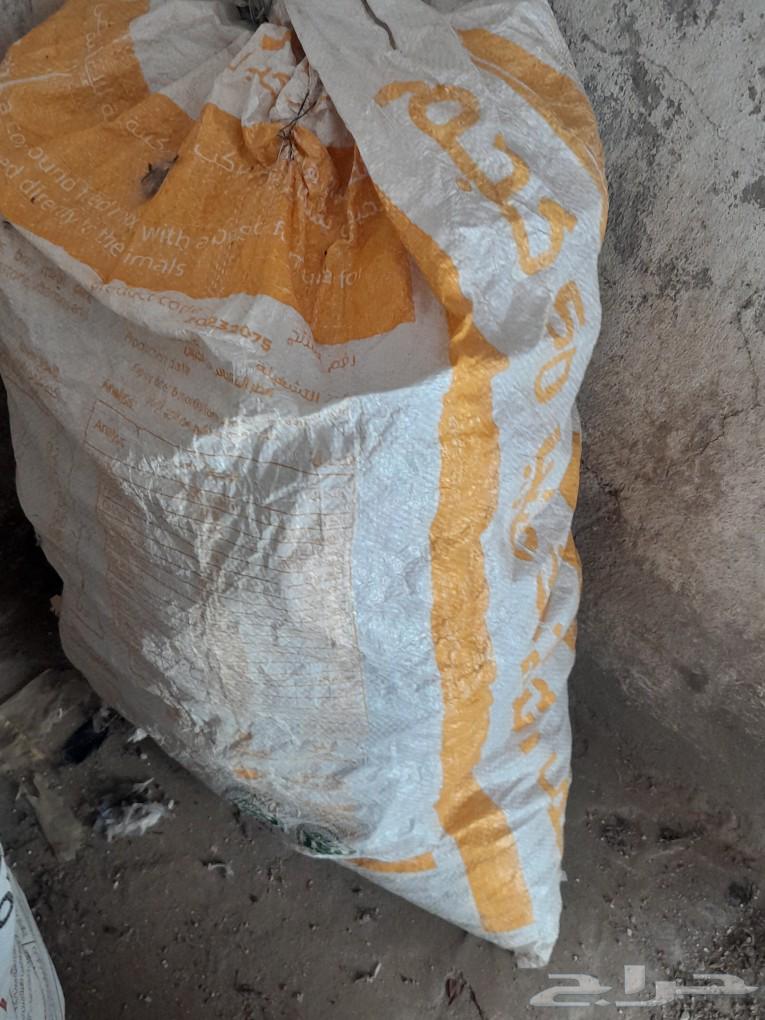 للبيع خبز للغنم64383802044801110