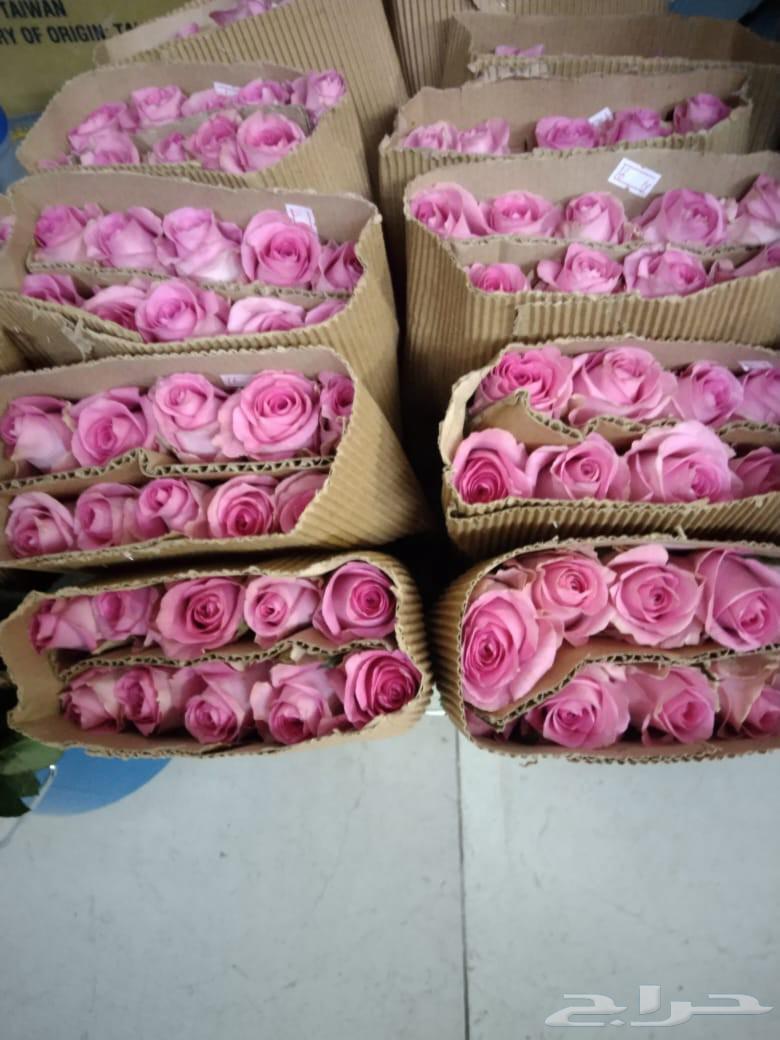 فل ورد64383428336643111