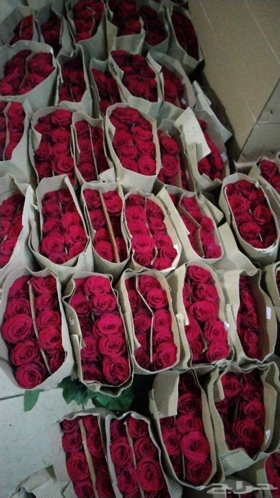 فل ورد64383428336643110