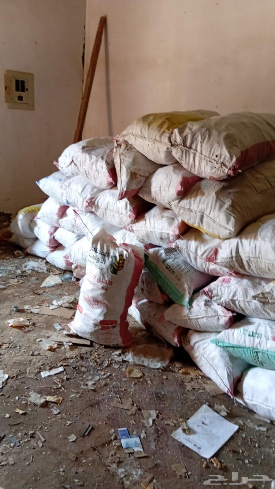 ينبع البحر64382169312001114