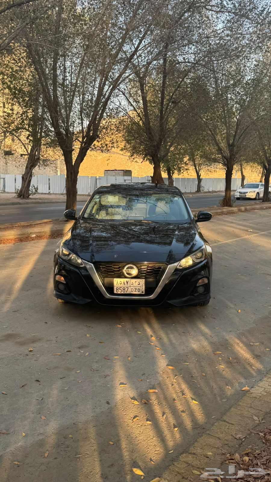 Altema64536320980739111