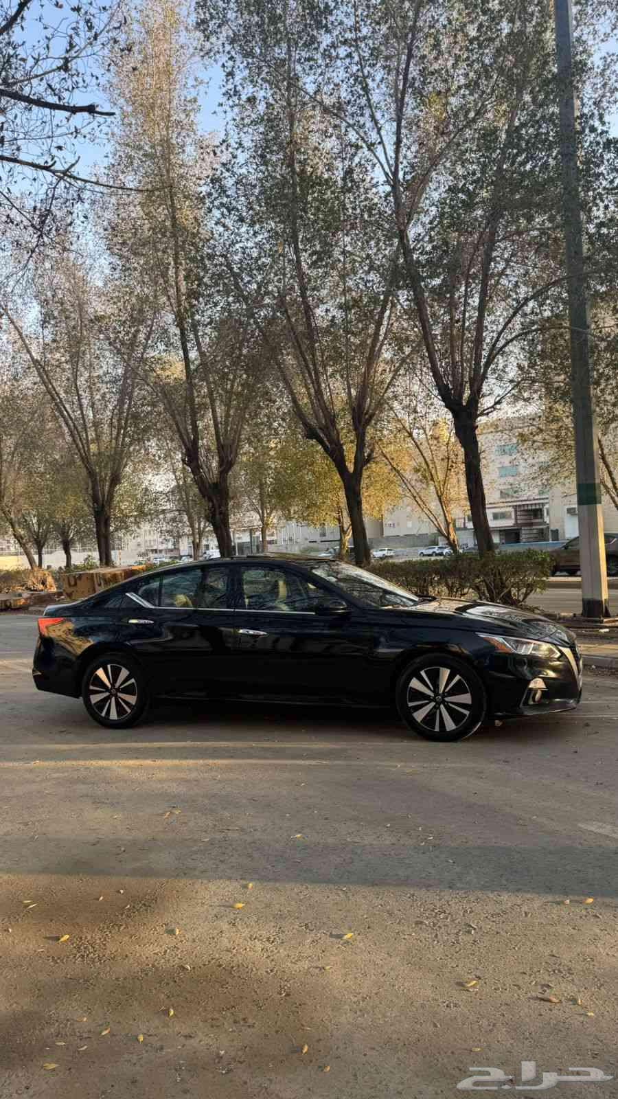 Altema64536320980739112