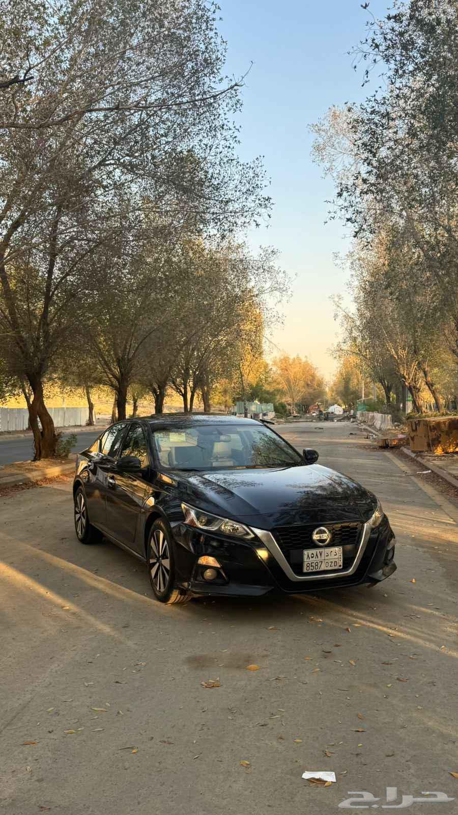 Altema64536320980739113