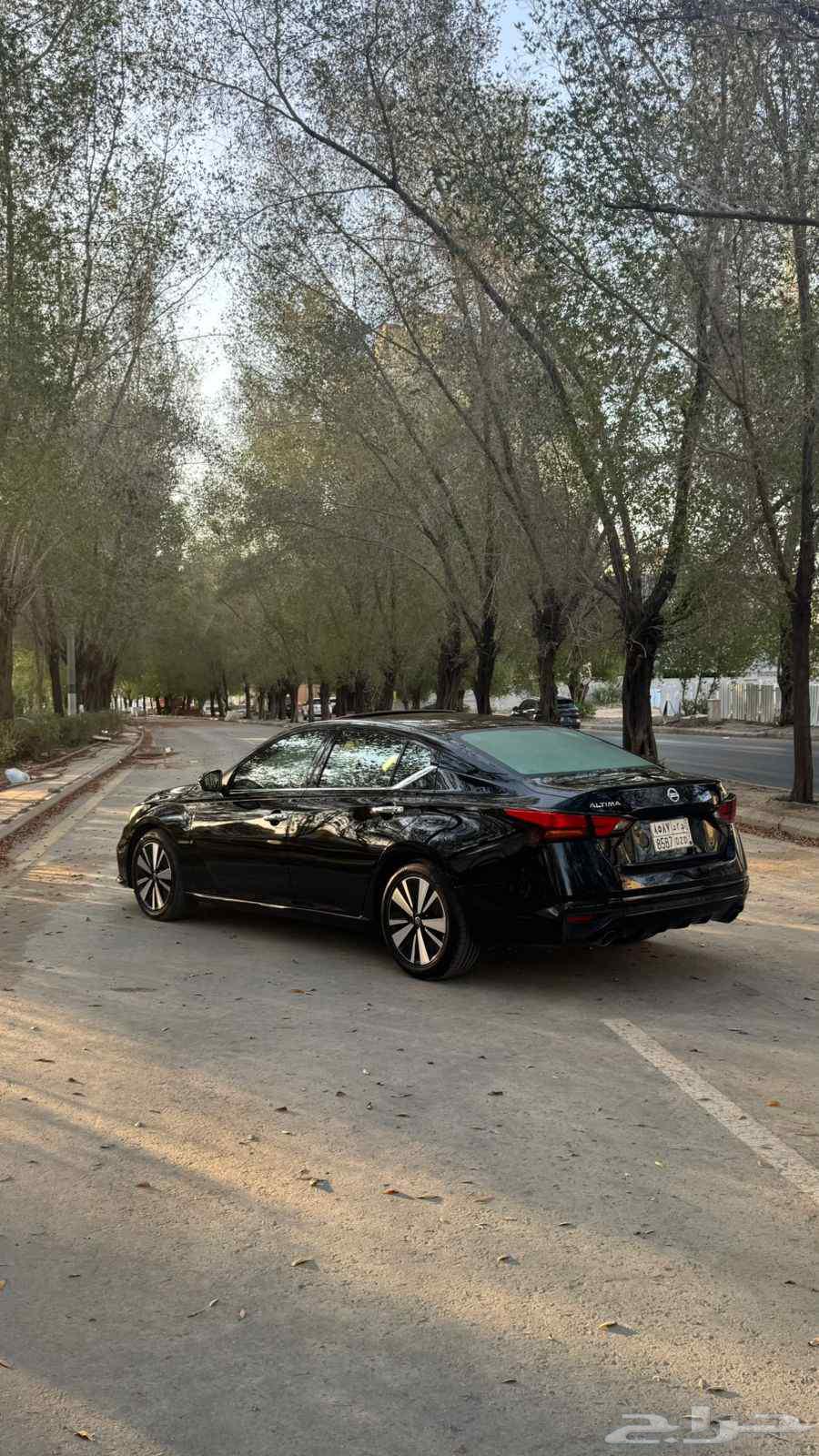 Altema64536320980739110