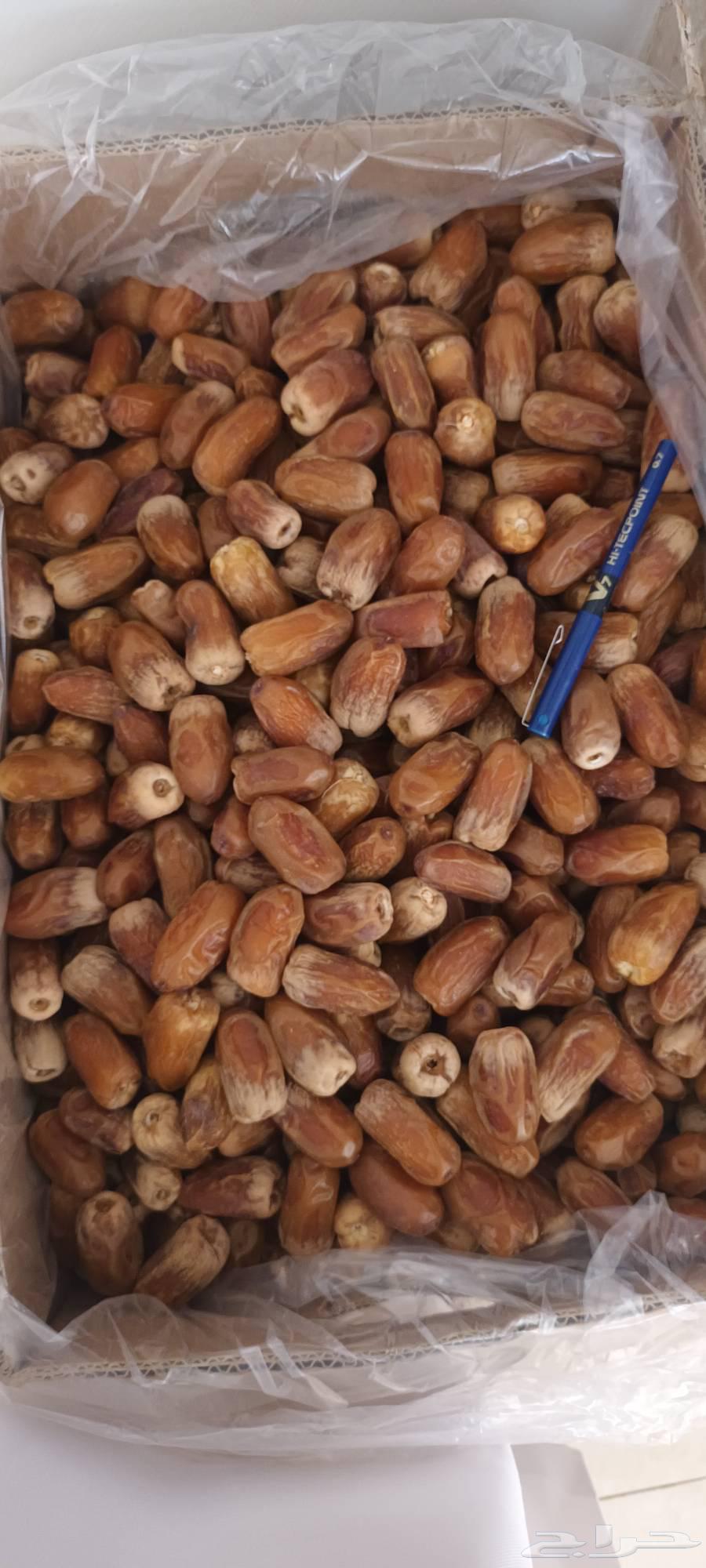 Large Sukkari dates64381425167106114