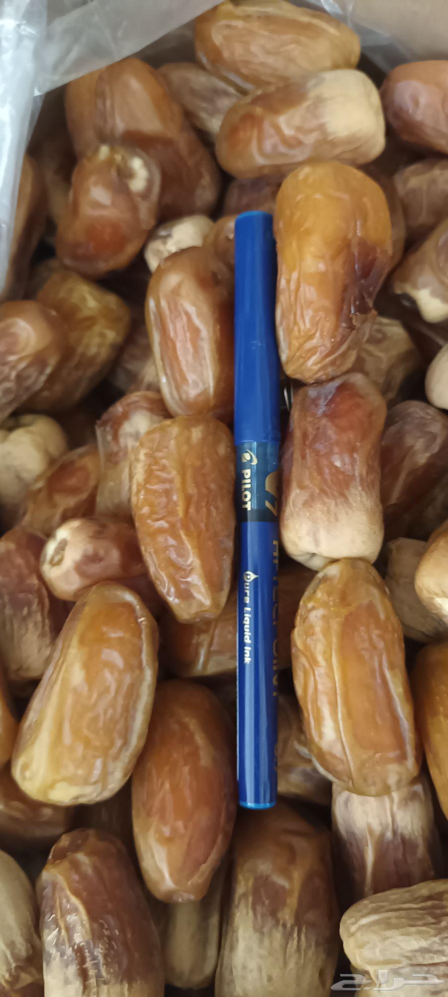 Large Sukkari dates64381425167106111