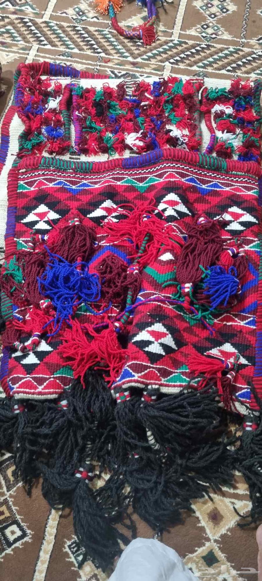 Purpose + Departure .. Several Camels64533803985921111