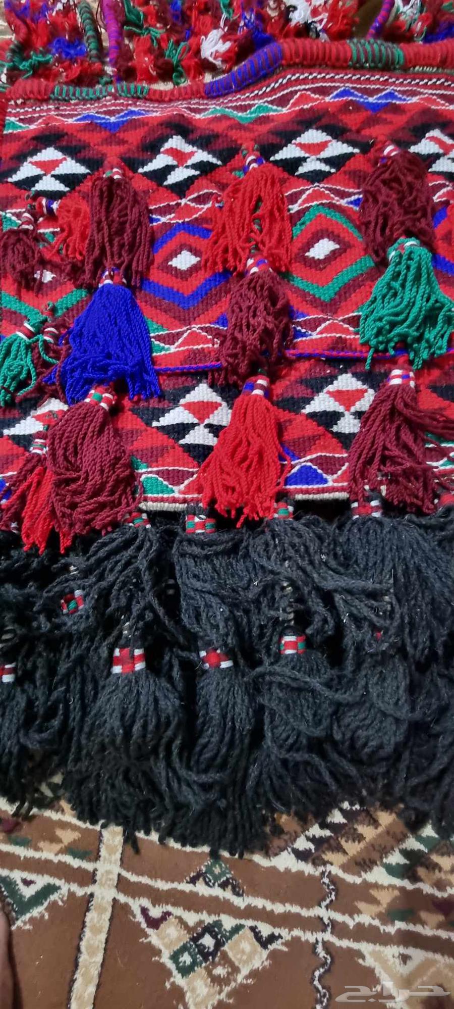 Purpose + Departure .. Several Camels64533803985921110