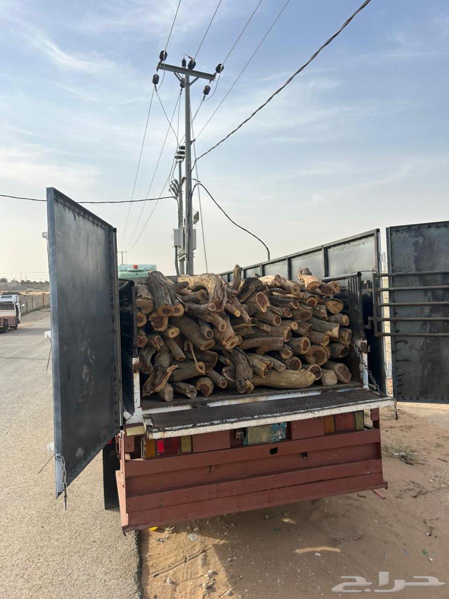 ح. ط. ب سمر مبروم شلايخ ارطى64529405468033111