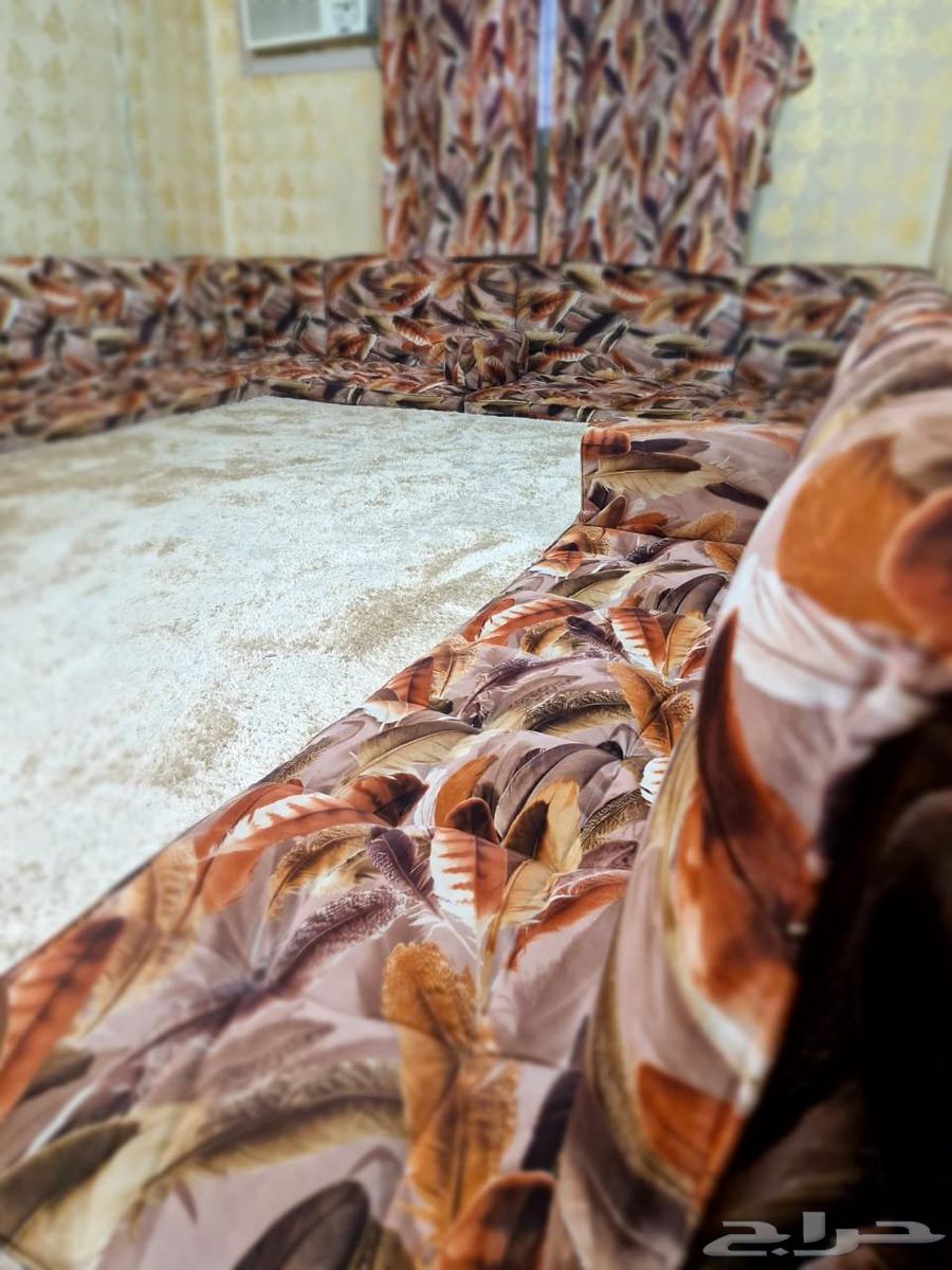 مجلس ارضي بيع مستعجل الرياض نظيف64390582389379114