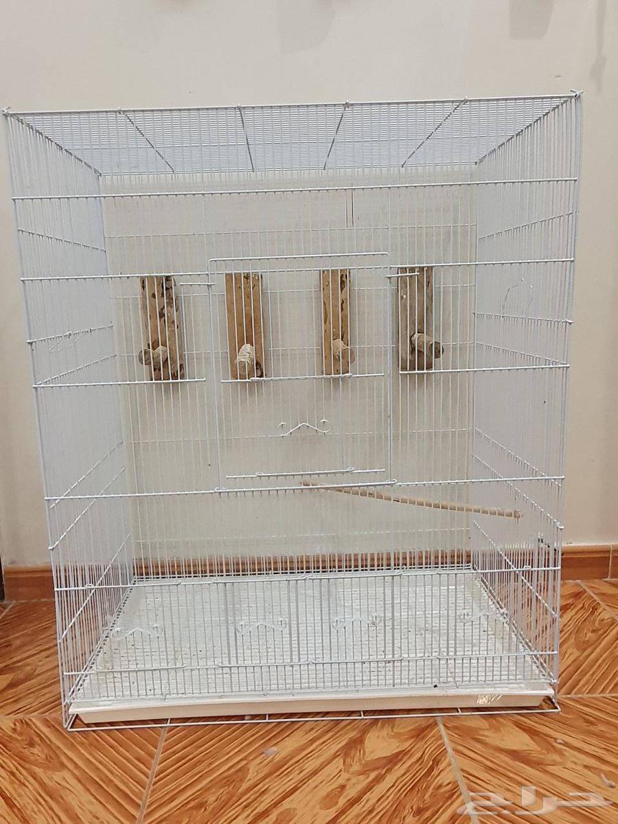 مطير طيور للبيع64387787913857111