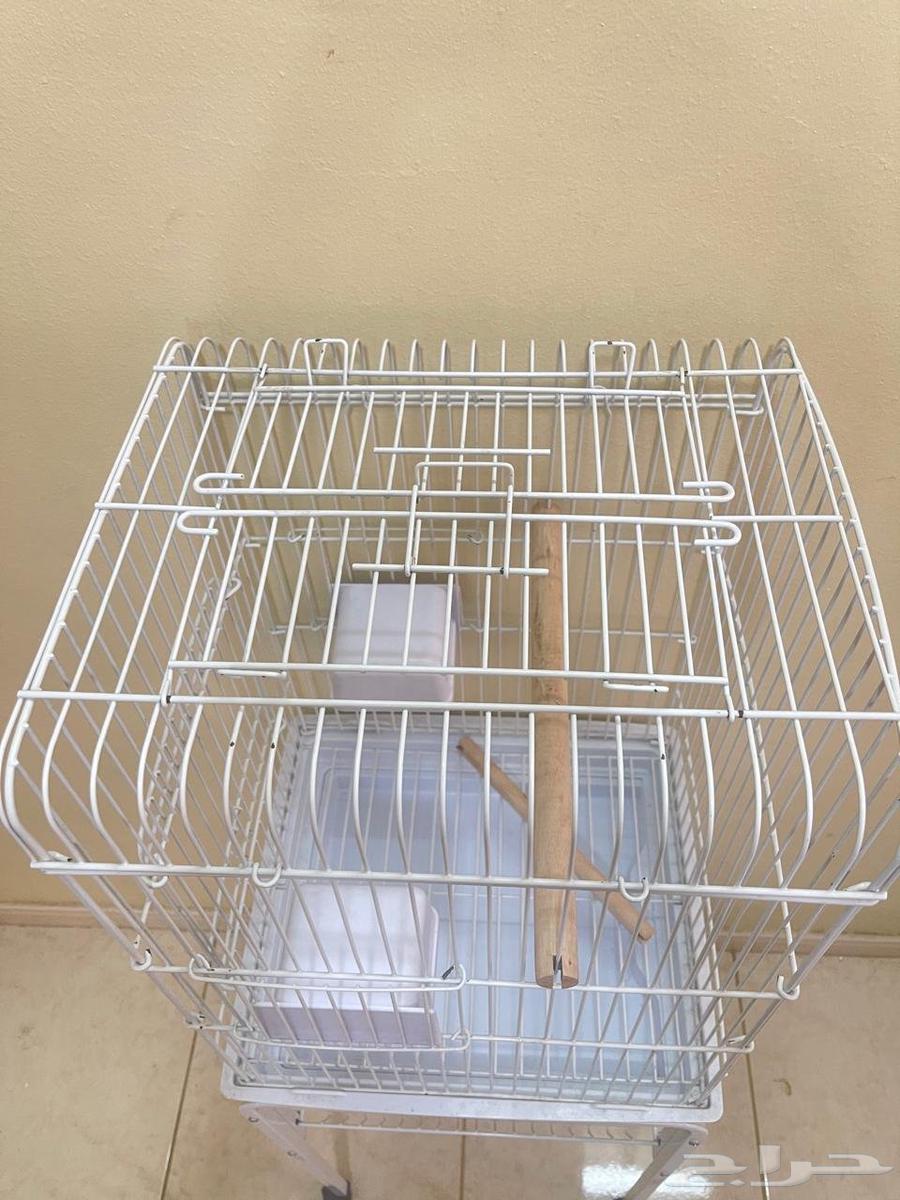 اقفاص طيور64385565073282112