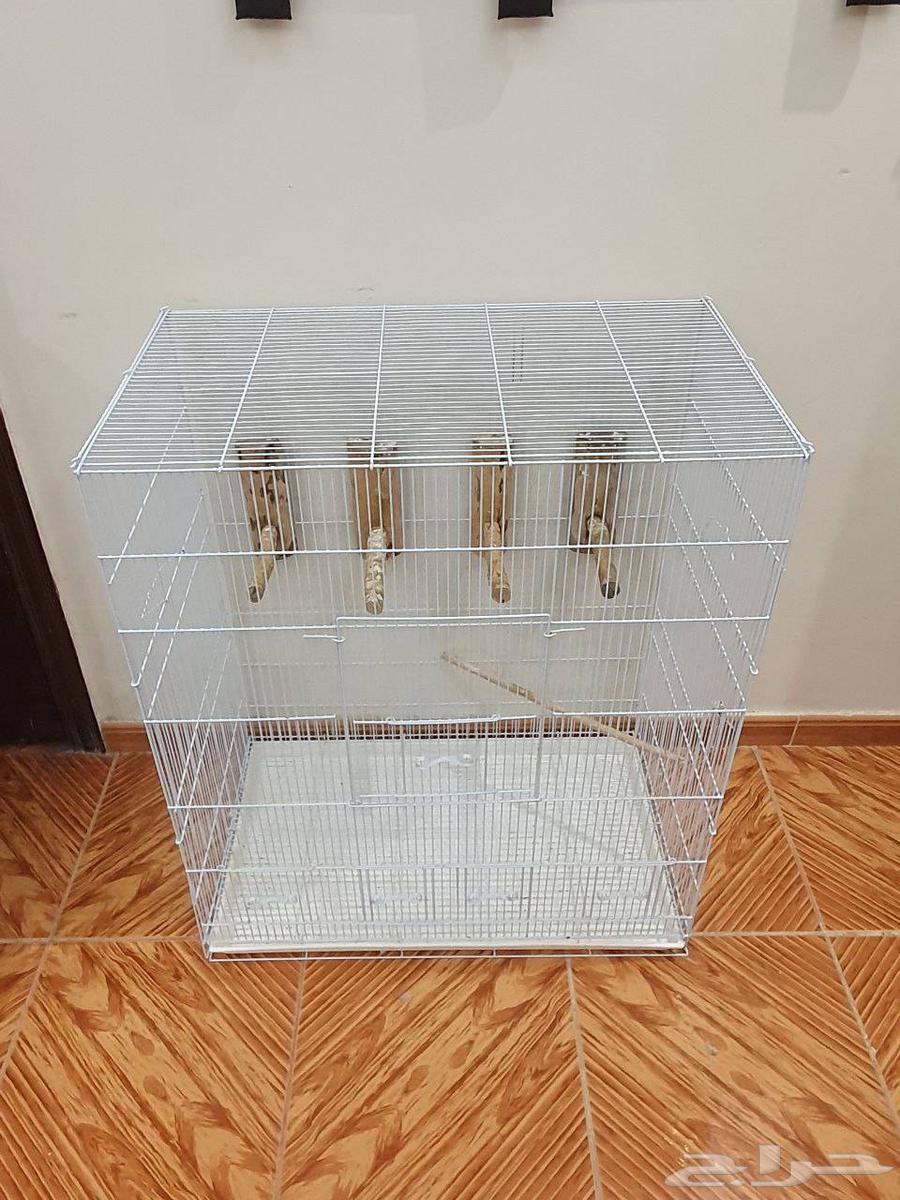 مطير طيور للبيع64387787913857110