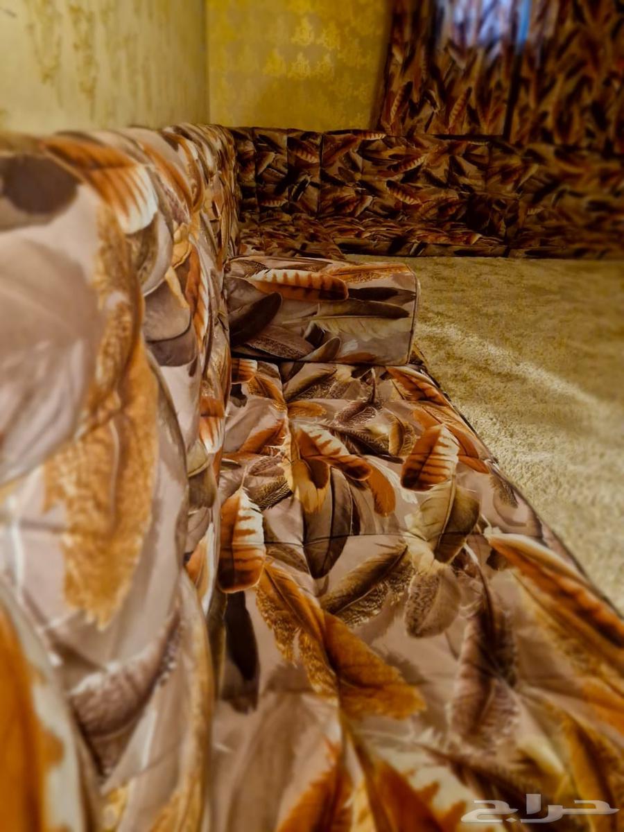 مجلس ارضي بيع مستعجل الرياض نظيف64390582389379111