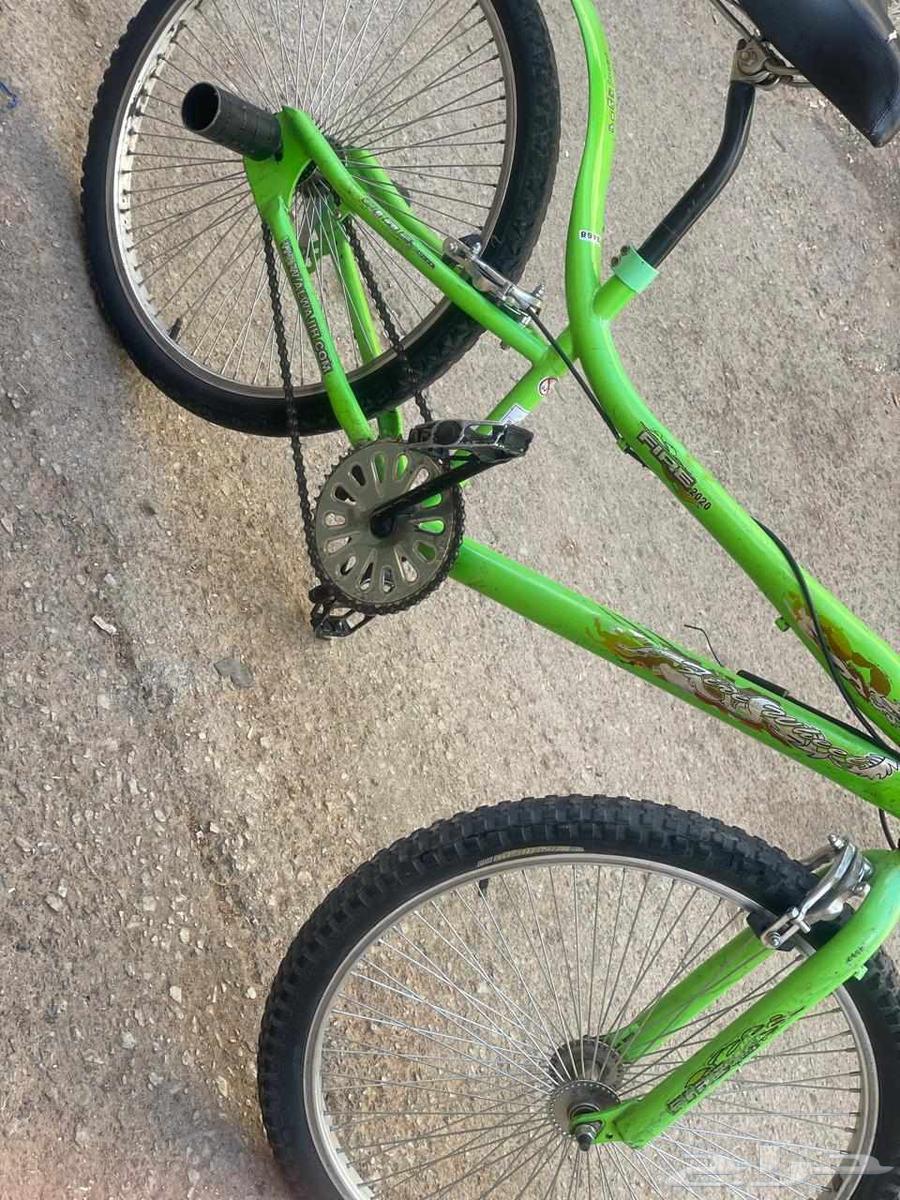 سيكل كوبرا كبير اخو الجديد نضيف جدا مع دعامات64385901270017111