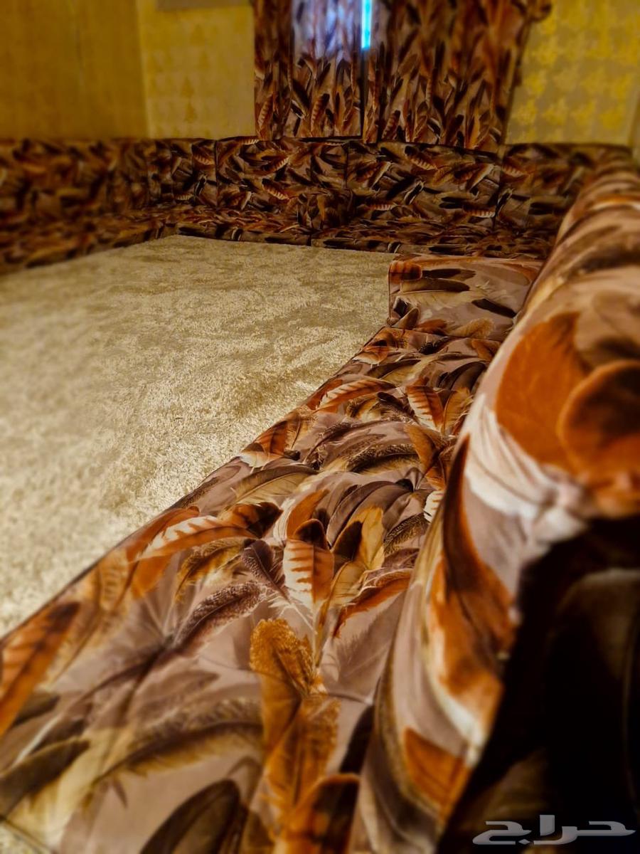 مجلس ارضي بيع مستعجل الرياض نظيف64390582389379113