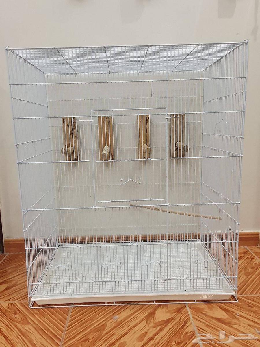 مطير طيور للبيع64387787913857114