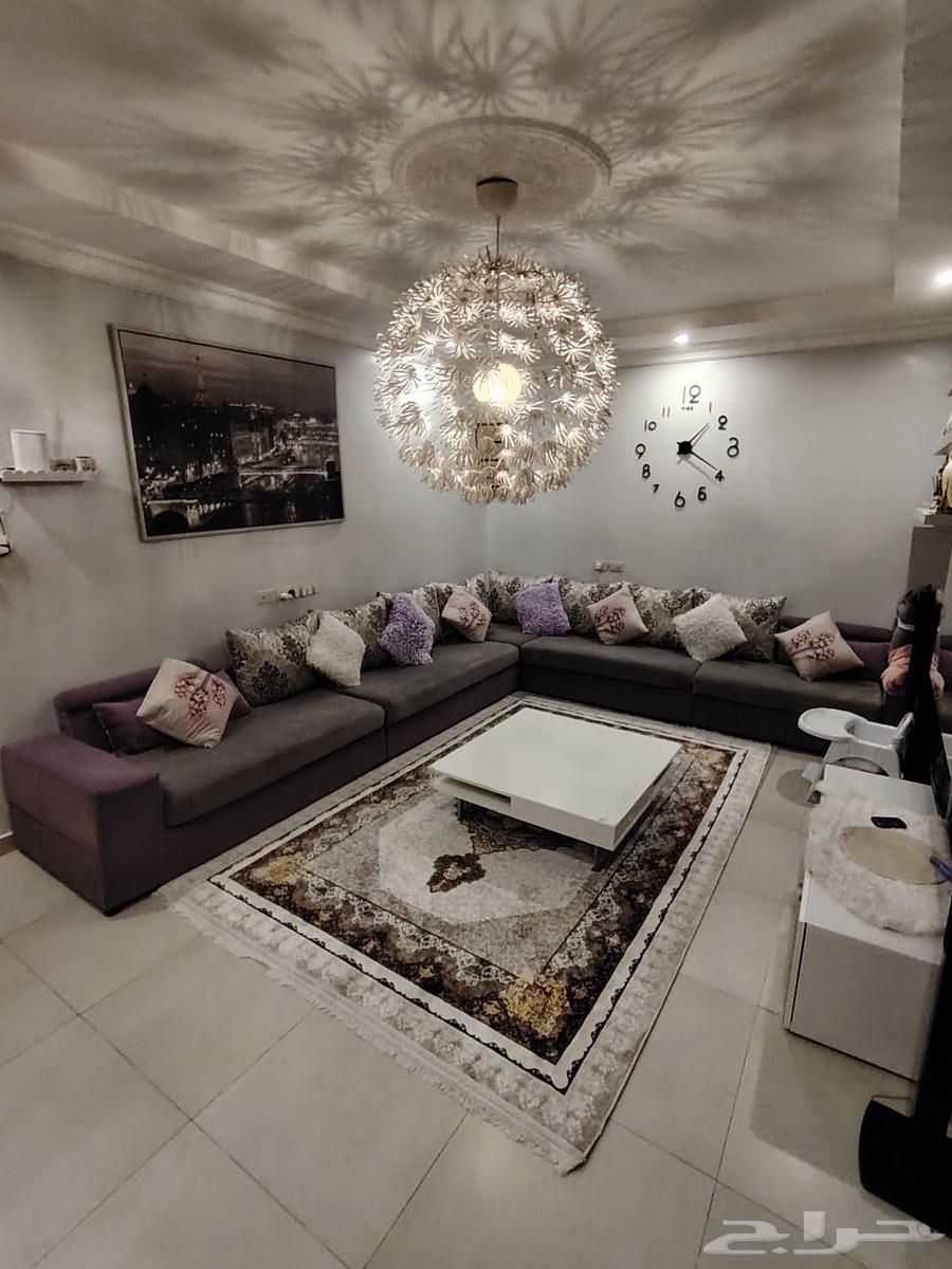 كنب زاوية نظيف64377974115843111