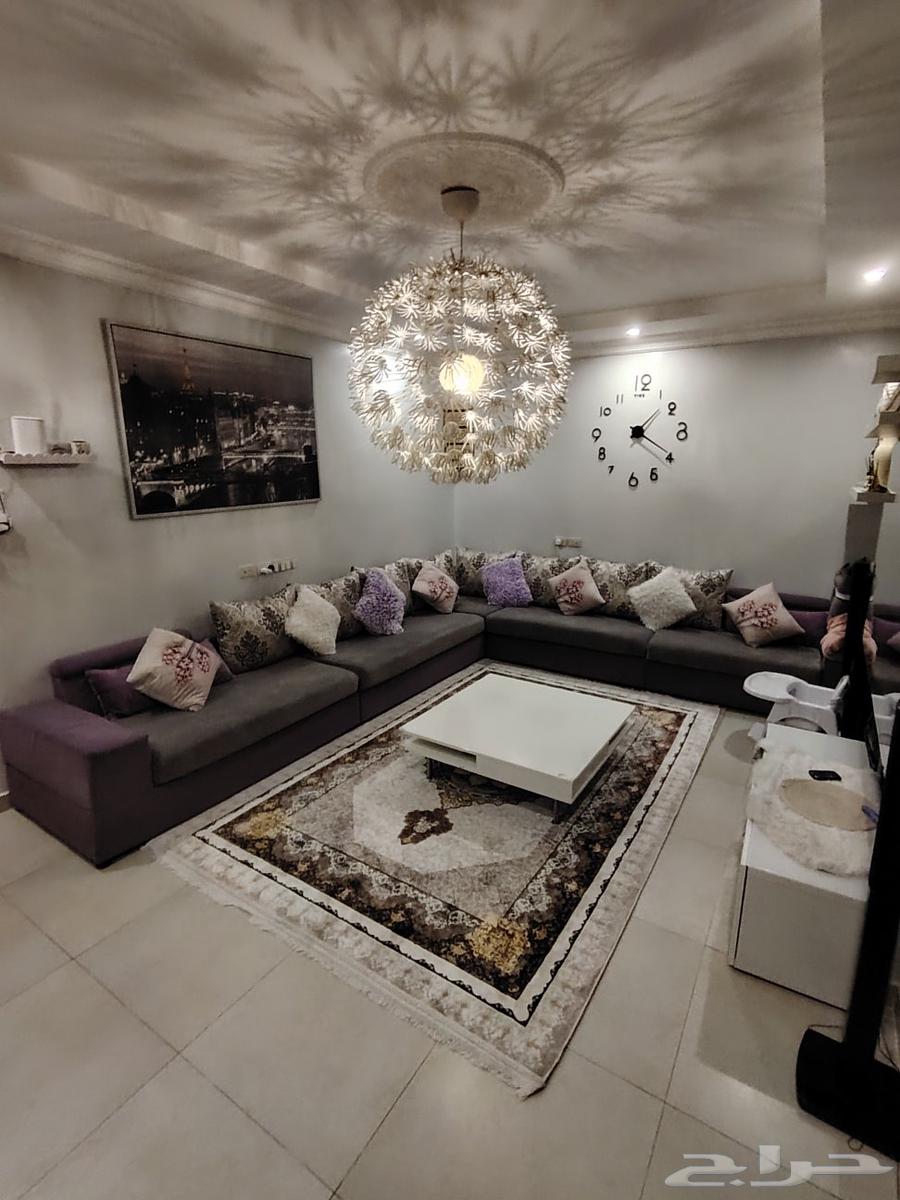 كنب زاوية نظيف64377974115843110