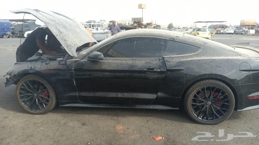 Mustang 4-cylinder turbo63618065558275113