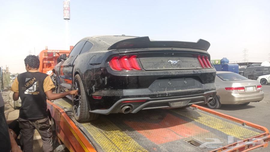 Mustang 4-cylinder turbo63618065558275111