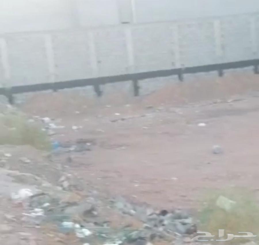 ارض في حمراء الاسد ها 2 مطلوب 500الف صافي63614090602114111