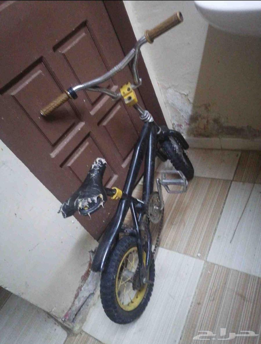 سيكل كوبرا مقاس 12 للبيع64396616901377110