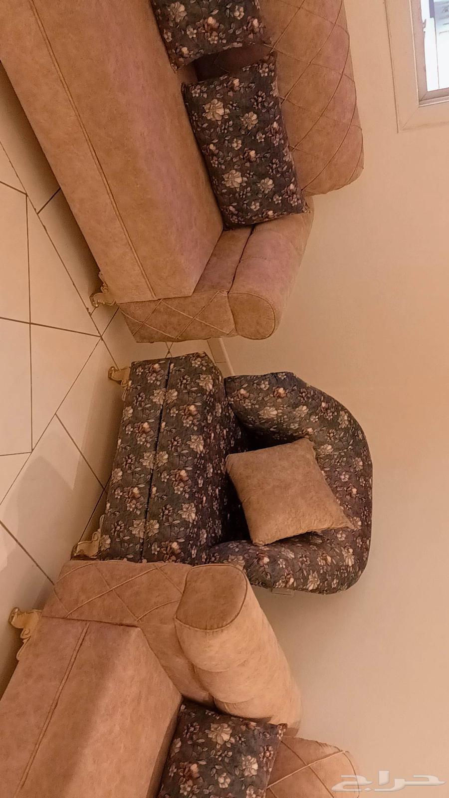 كنب جديد ونظيف64396351570435112