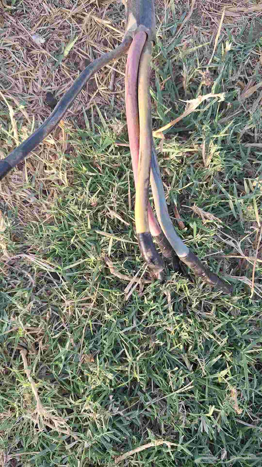 25 mm clean cable with lengths of 300, 220, 70, and 1764397395408385112