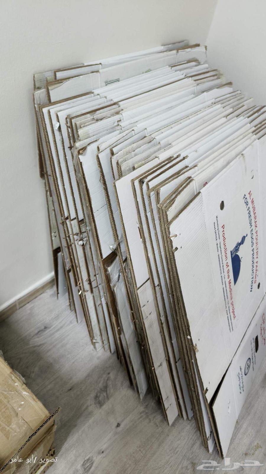 للبيع كراتين بيض64395282763138110