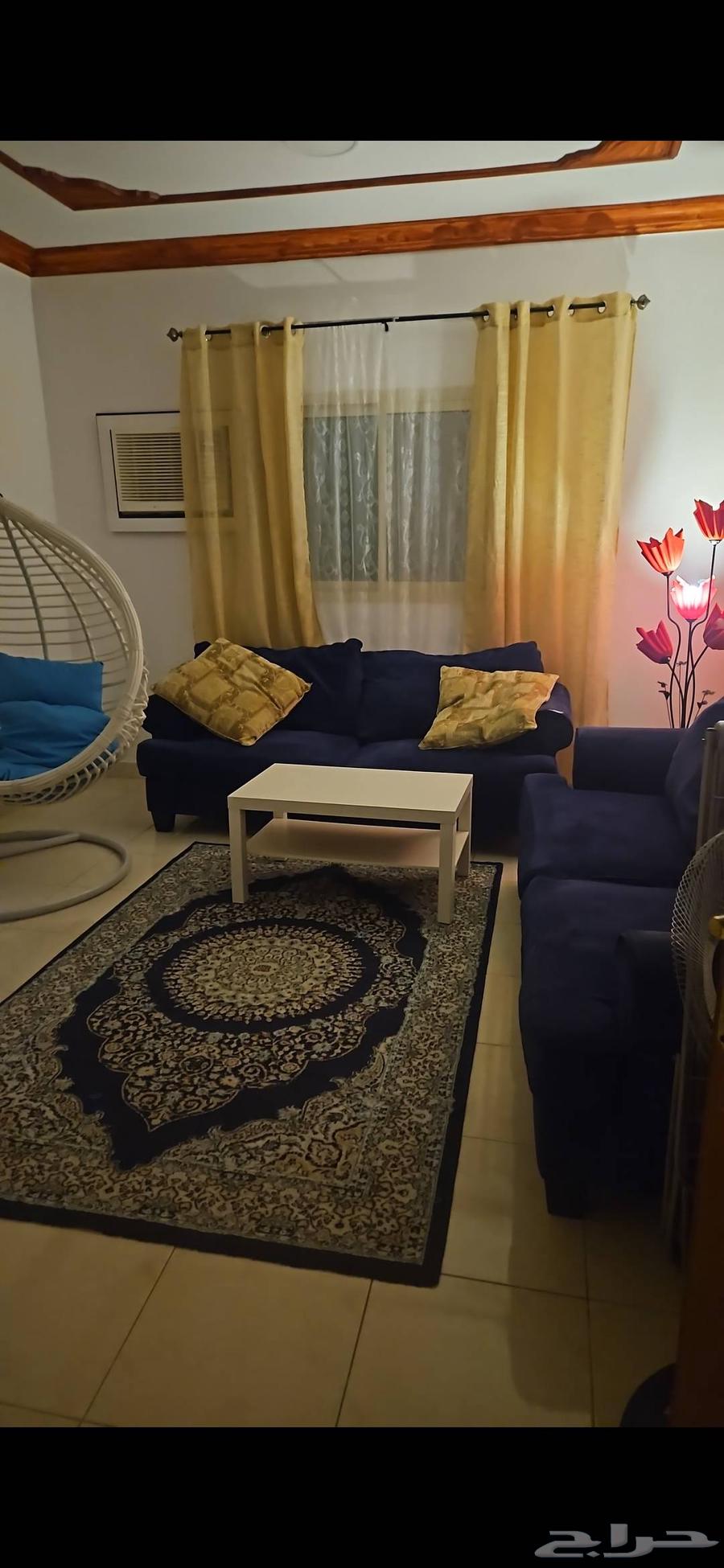 كنب هوم سنتر مع سجادة هدية64397936185602111